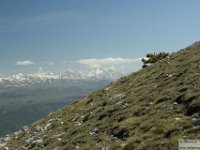 2026-05-09 Le cime di Casamaina 100